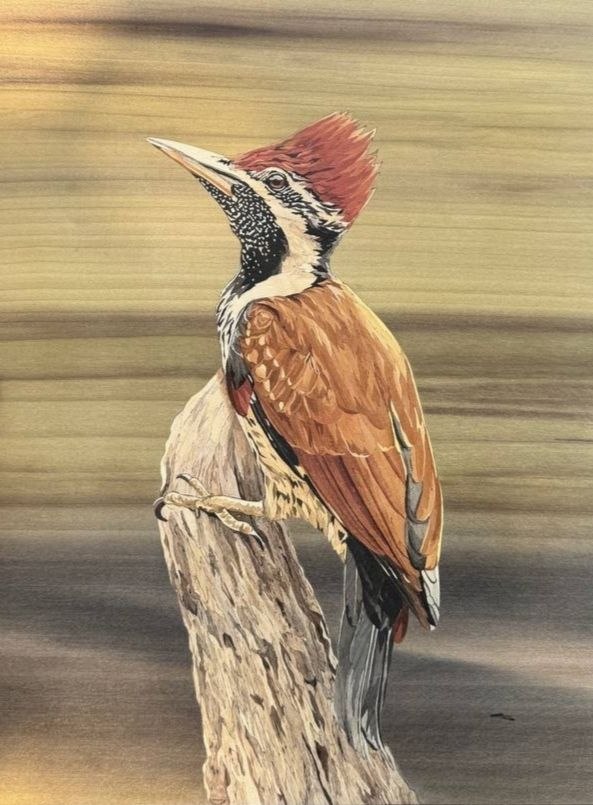 پرنده